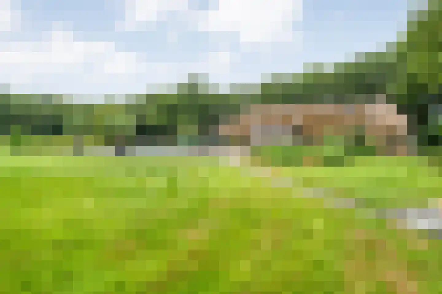 Busselterweg 2 Darp thumbnail 67