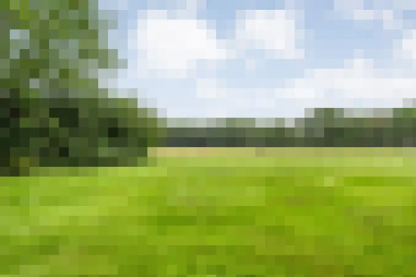Busselterweg 2 Darp thumbnail 68