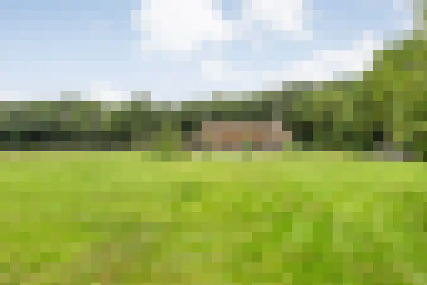 Busselterweg 2 Darp thumbnail 70
