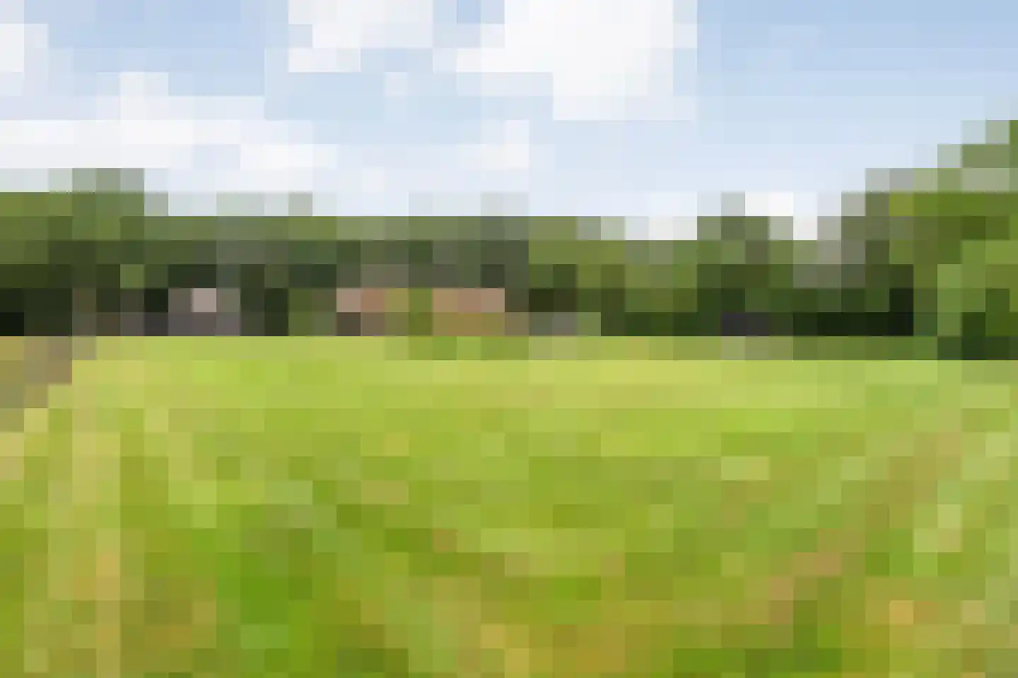 Busselterweg 2 Darp thumbnail 71