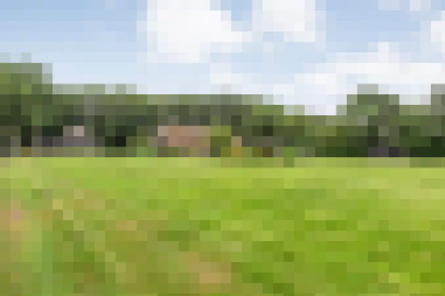 Busselterweg 2 Darp thumbnail 72
