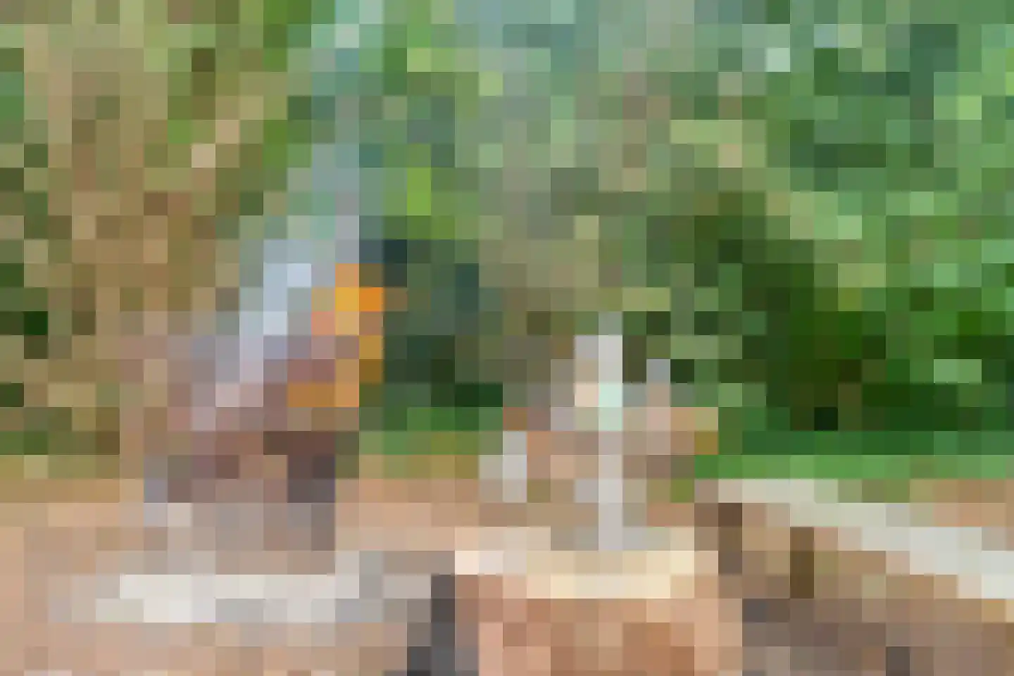 Busselterweg 2 Darp thumbnail 73