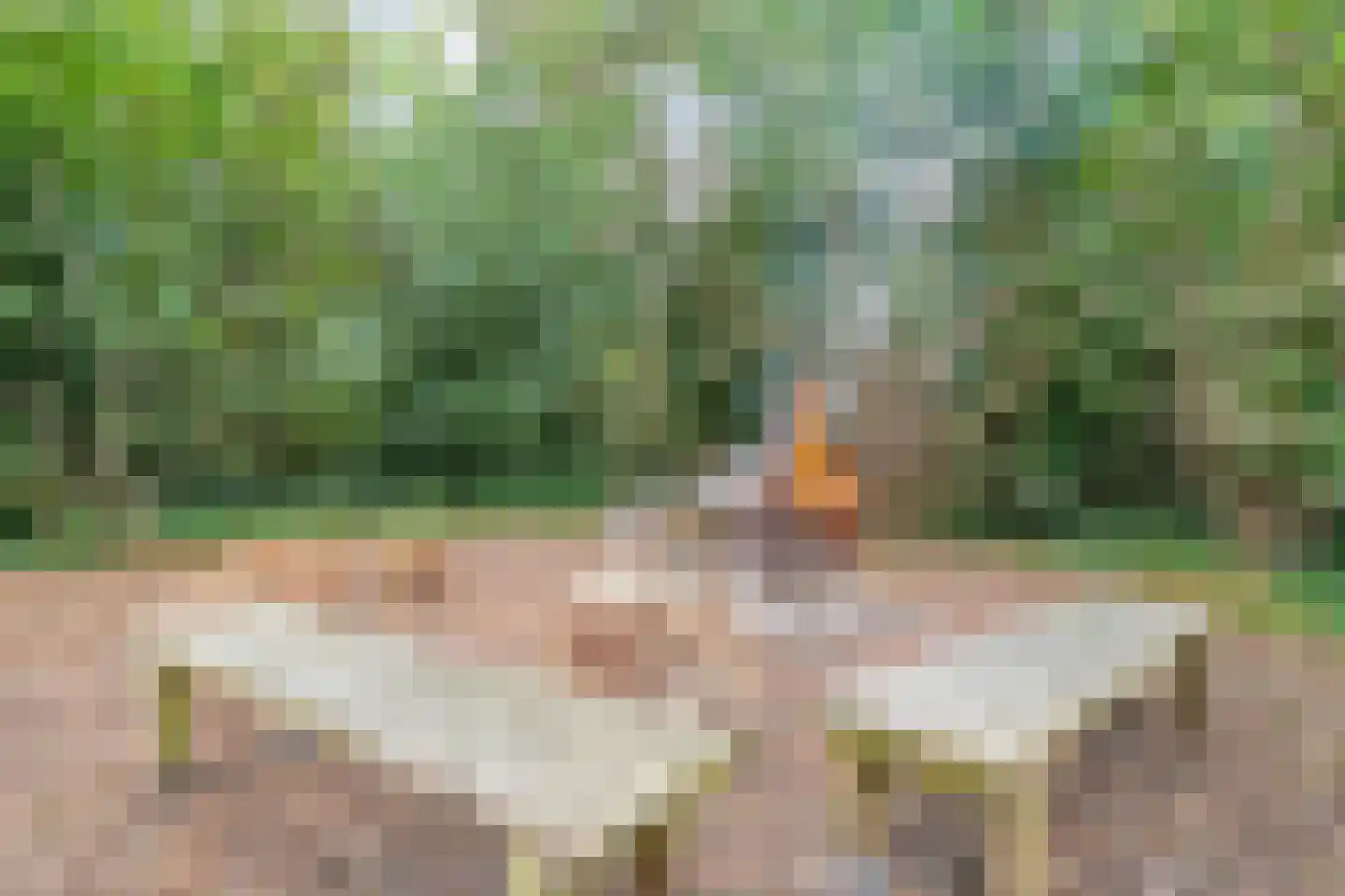 Busselterweg 2 Darp thumbnail 74
