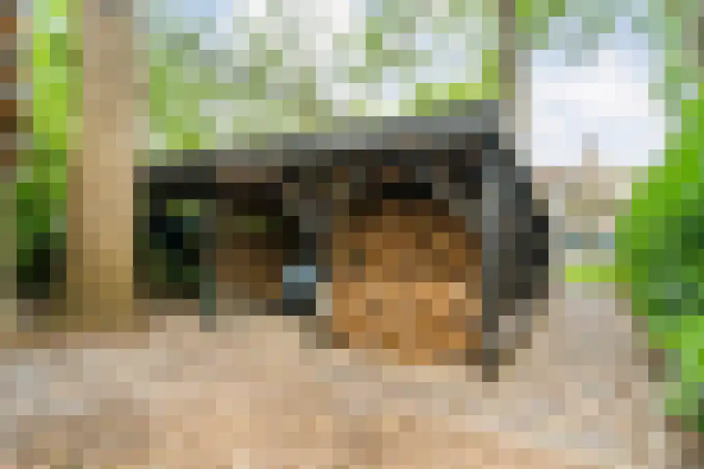 Busselterweg 2 Darp thumbnail 77