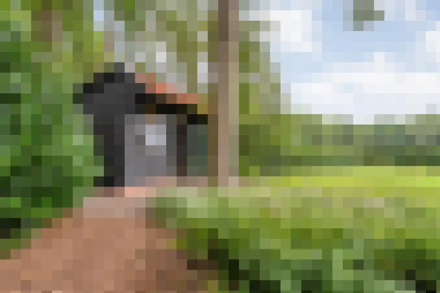 Busselterweg 2 Darp thumbnail 78