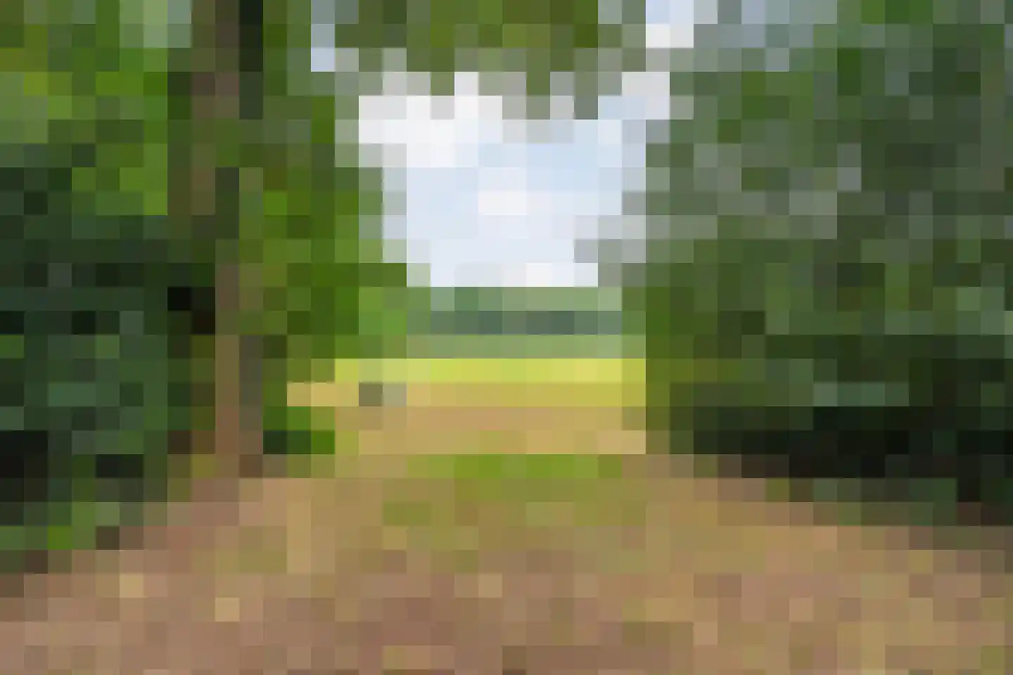 Busselterweg 2 Darp thumbnail 81
