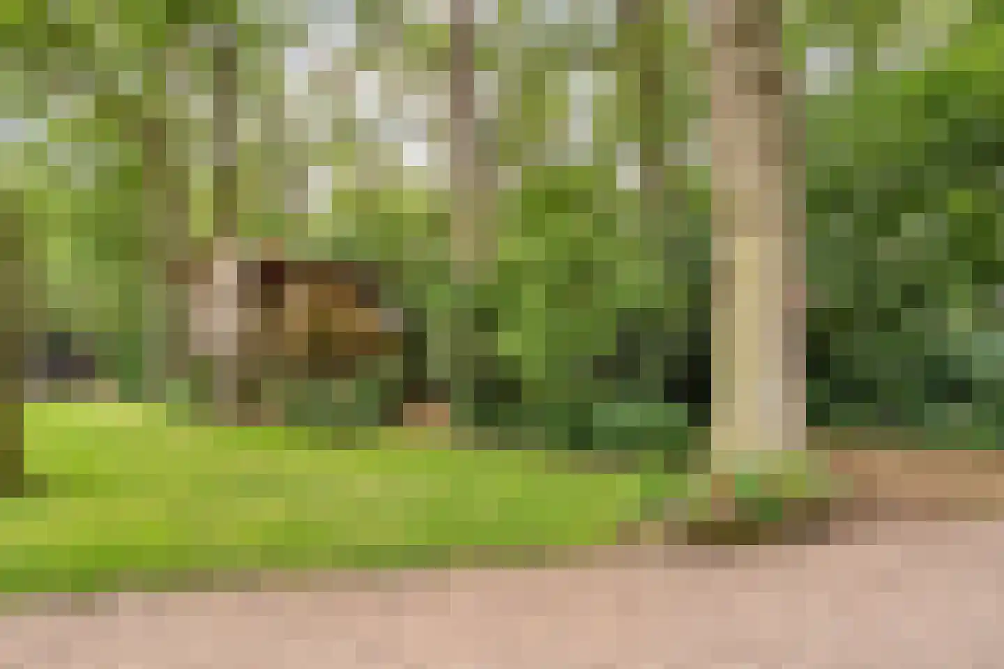 Busselterweg 2 Darp thumbnail 82