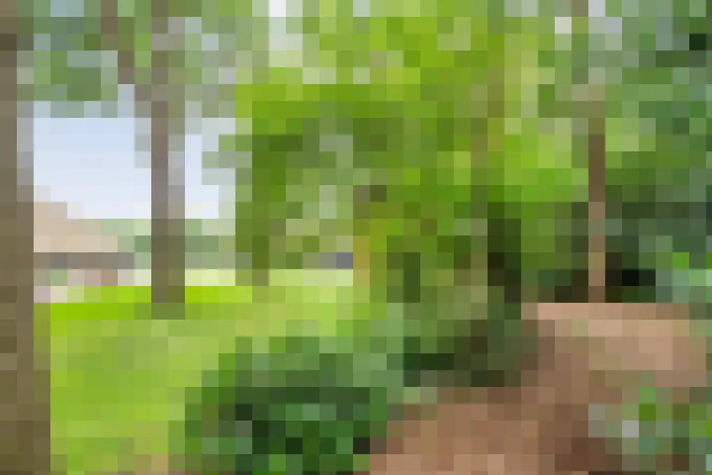 Busselterweg 2 Darp thumbnail 83