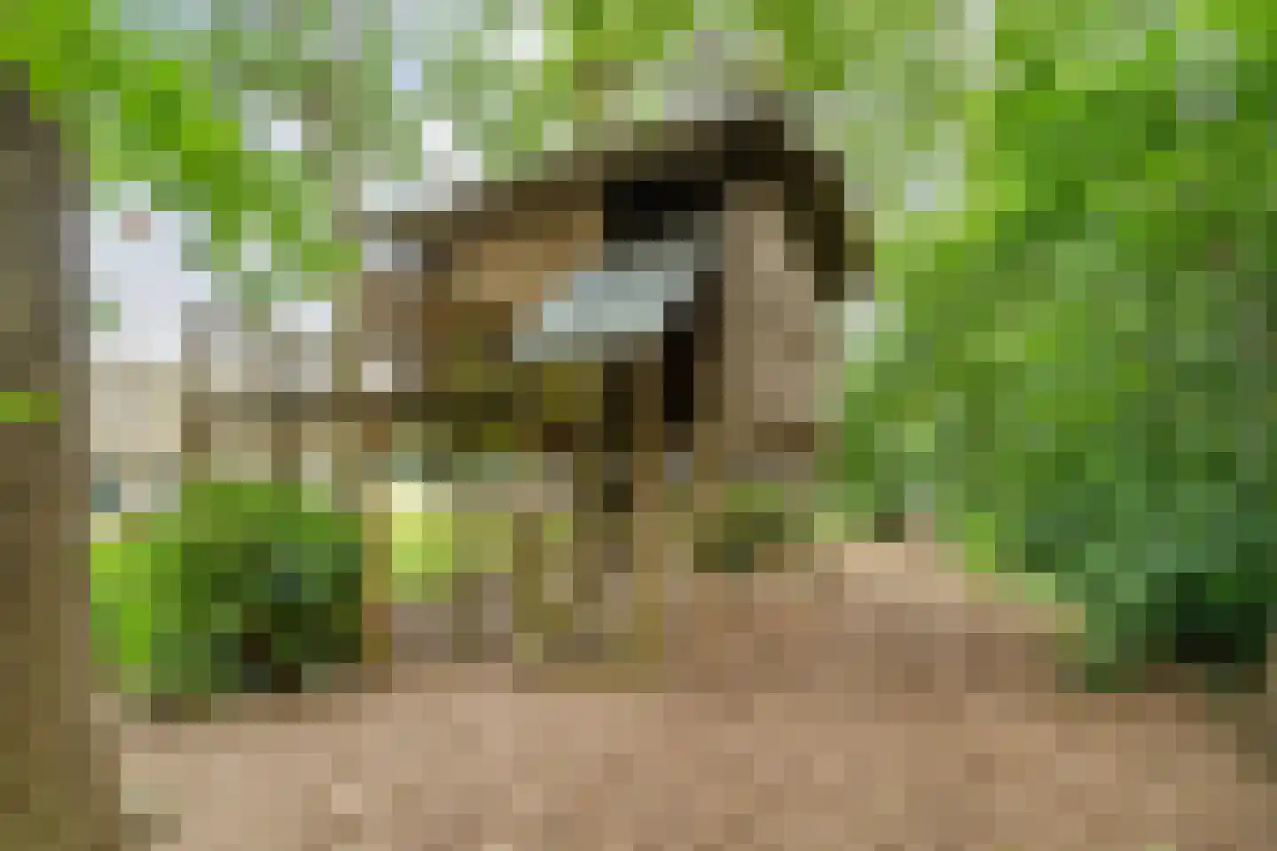 Busselterweg 2 Darp thumbnail 84