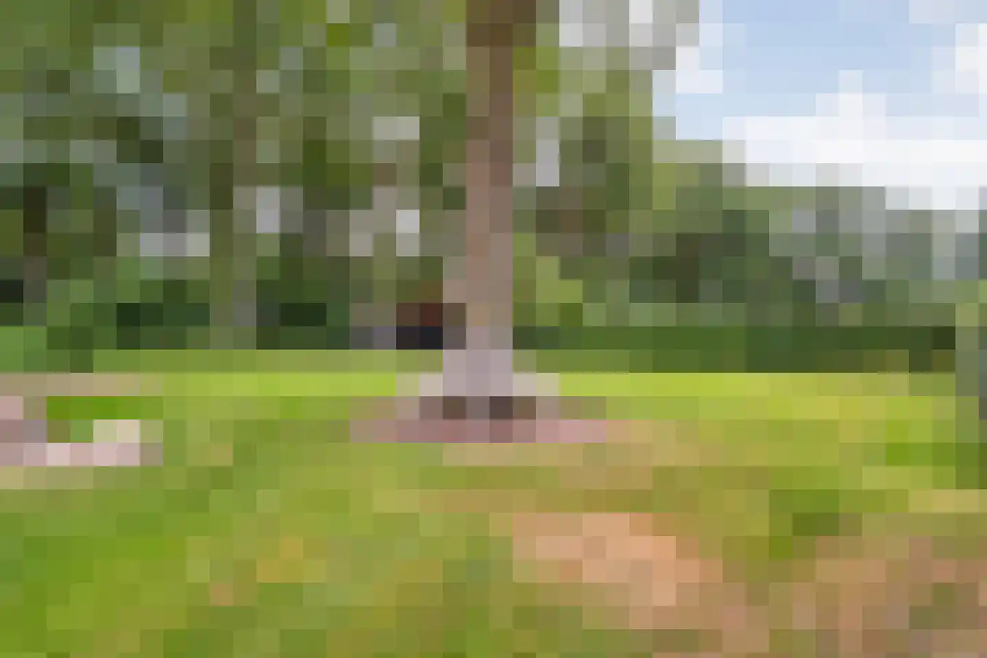 Busselterweg 2 Darp thumbnail 85