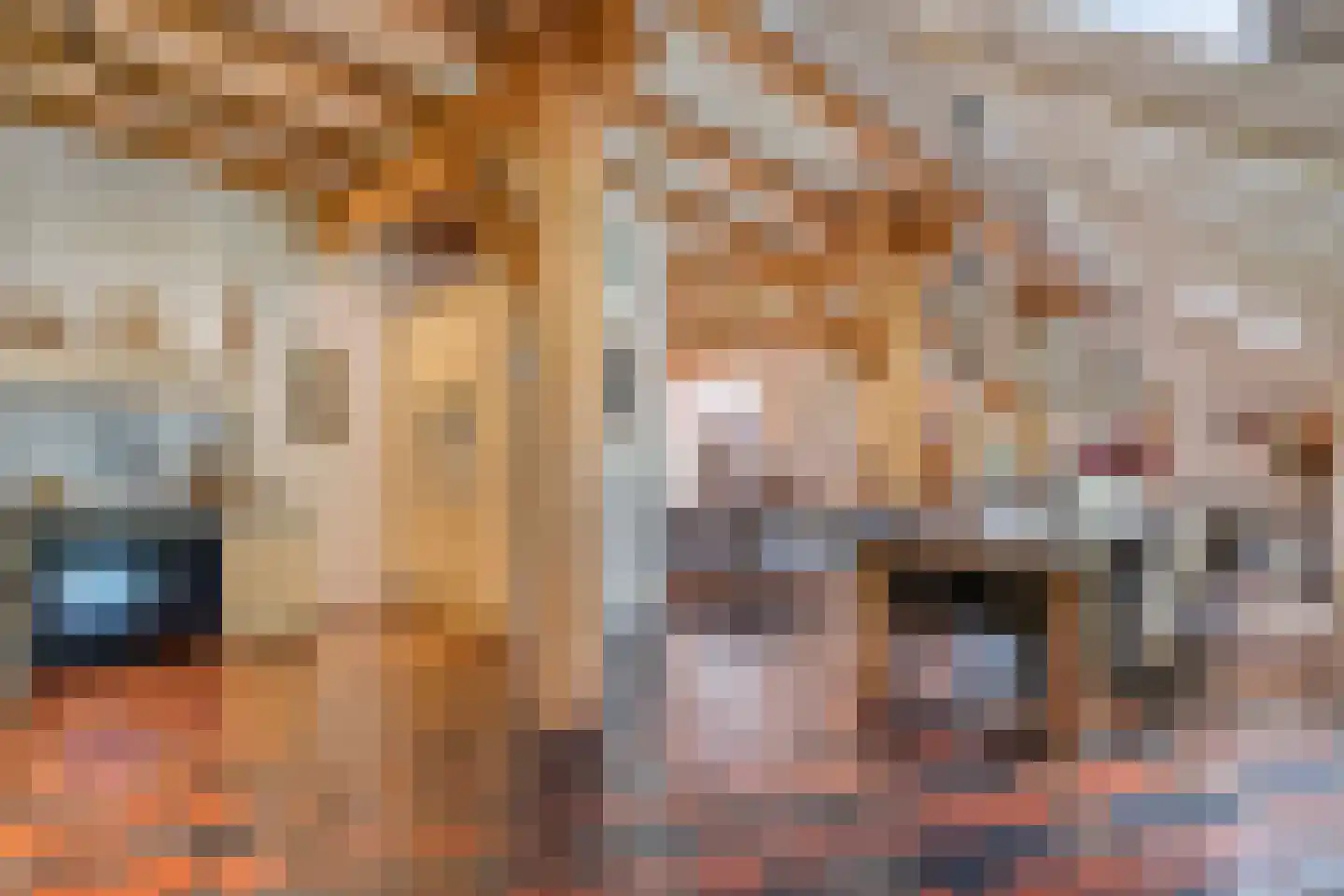 Busselterweg 2 Darp thumbnail 86