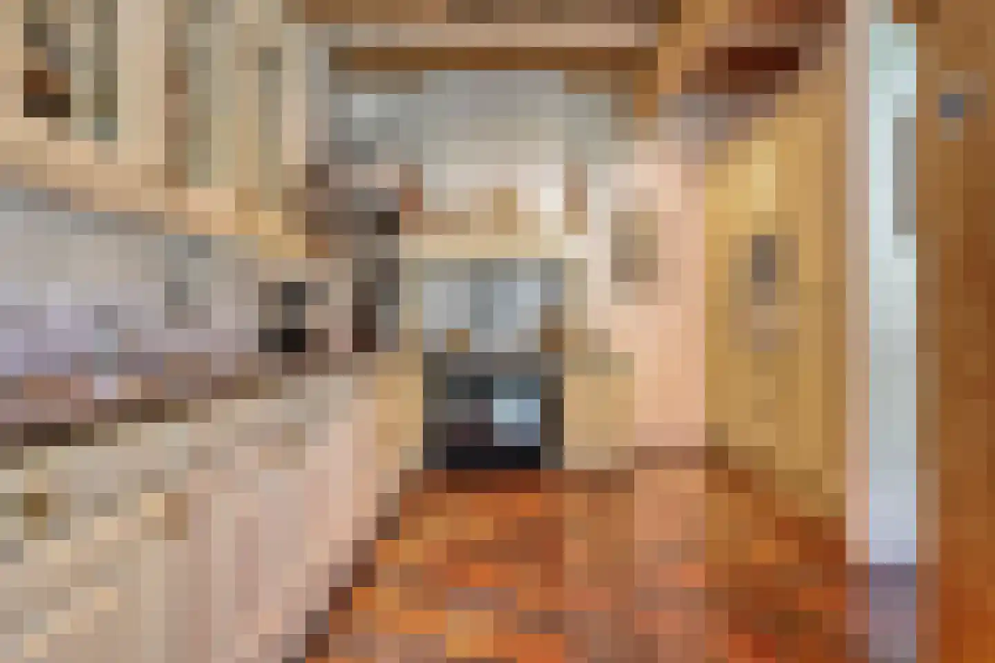 Busselterweg 2 Darp thumbnail 87
