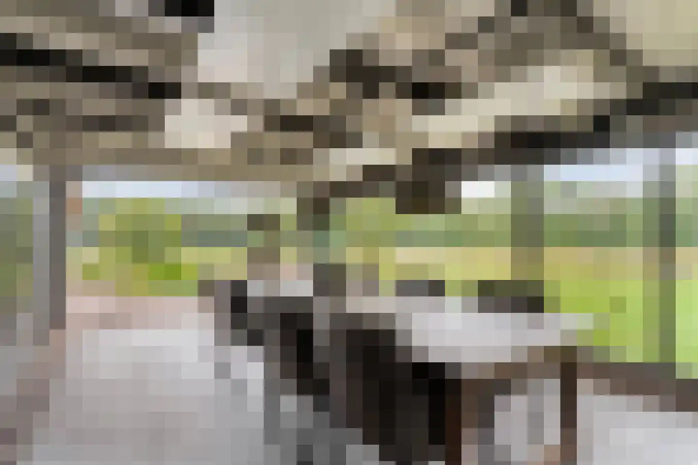 Busselterweg 2 Darp thumbnail 9