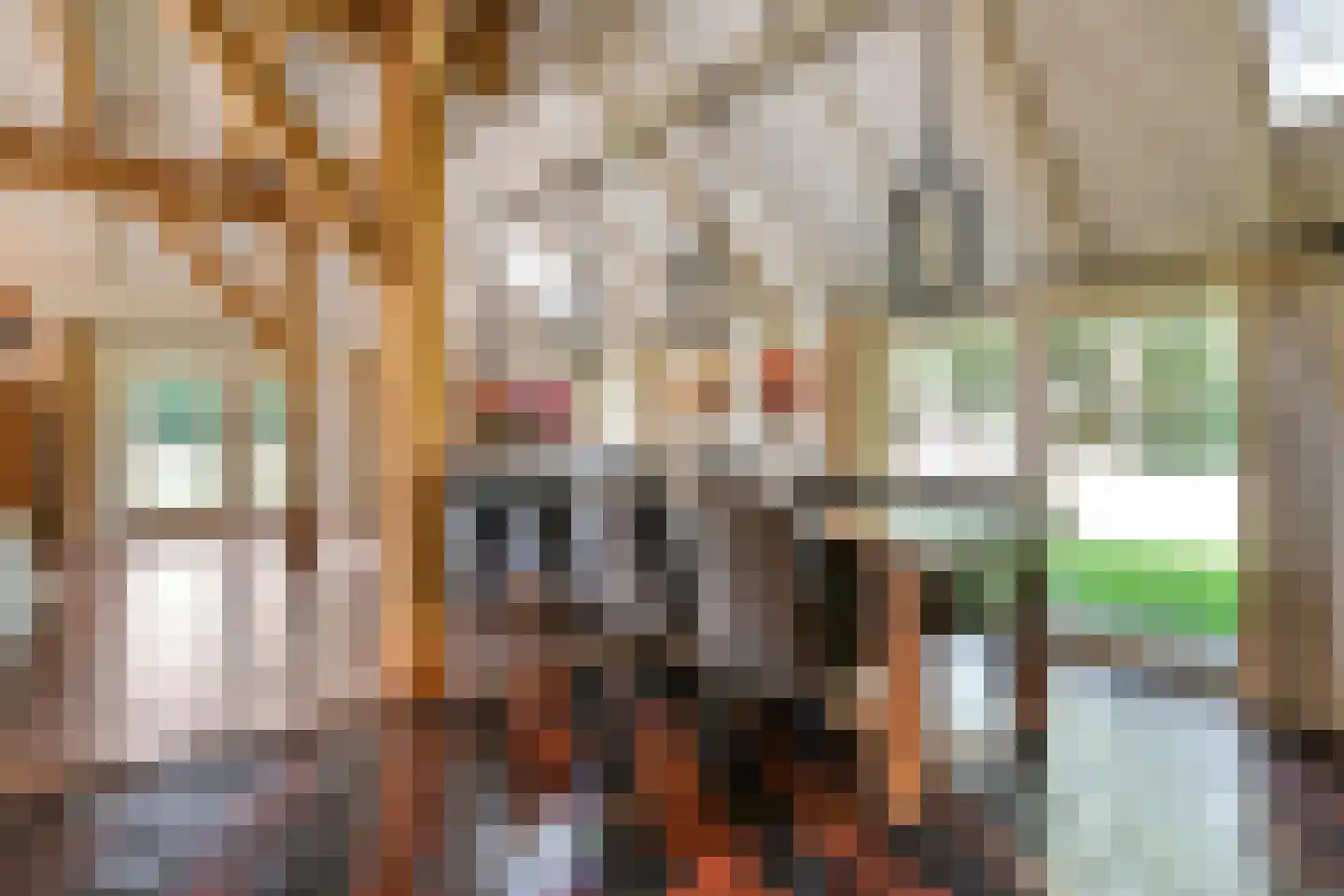 Busselterweg 2 Darp thumbnail 92