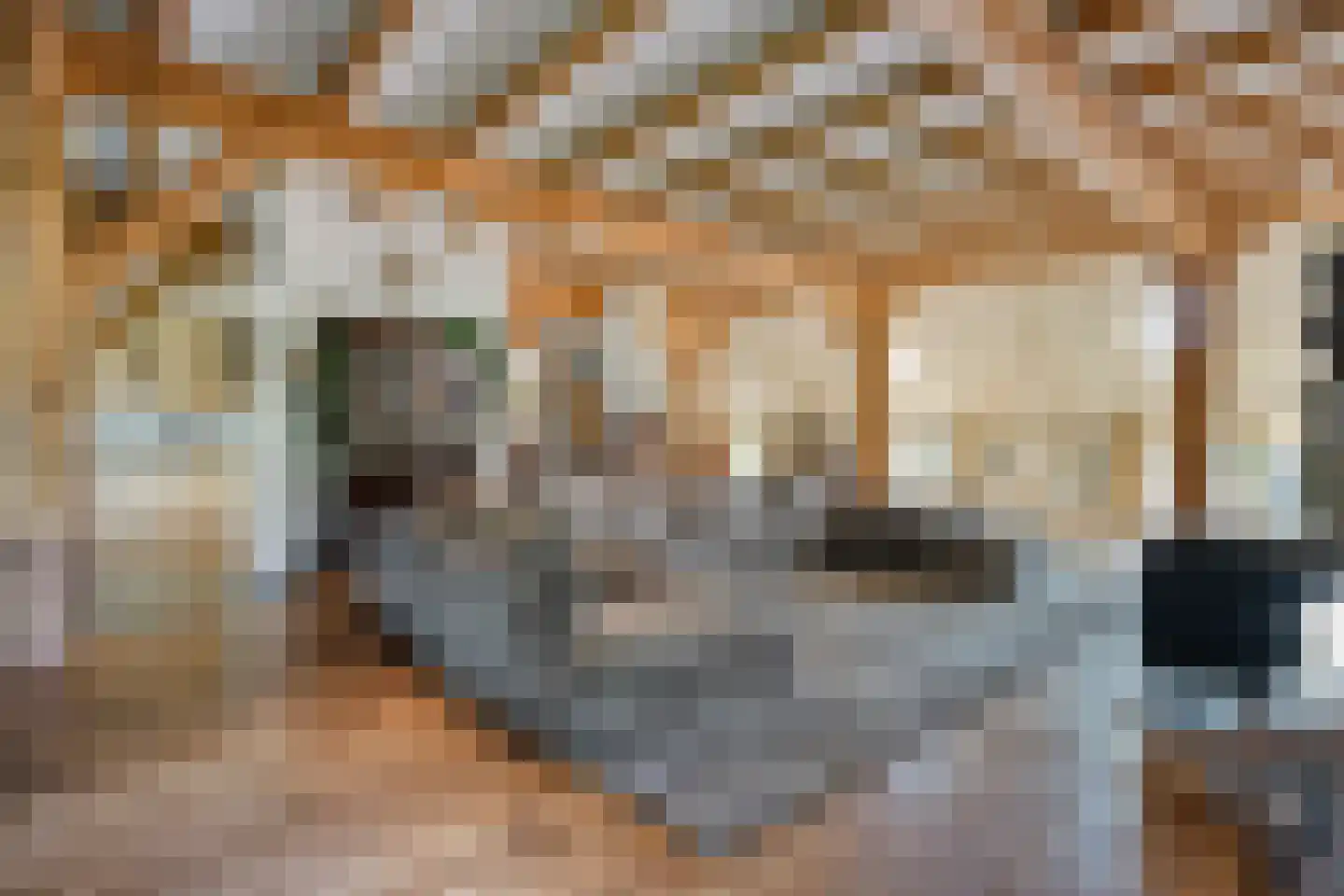 Busselterweg 2 Darp thumbnail 95