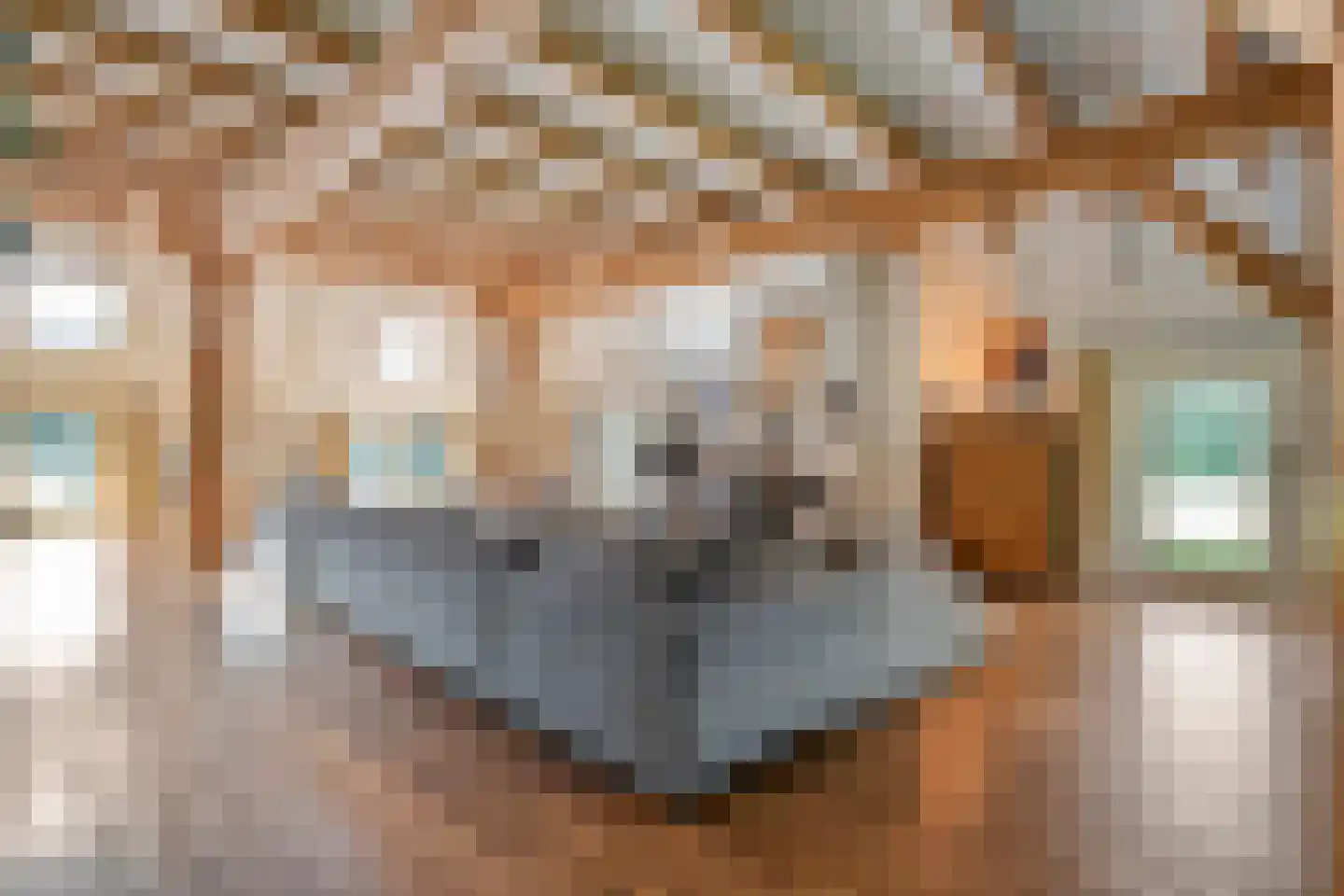 Busselterweg 2 Darp thumbnail 96