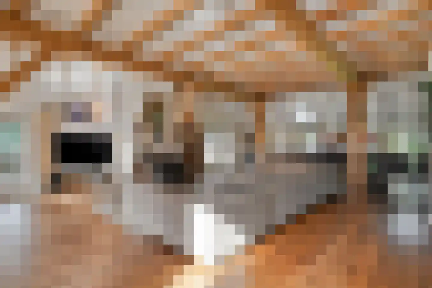Busselterweg 2 Darp thumbnail 98