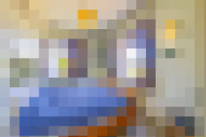 Busselterweg 29 Darp thumbnail 14