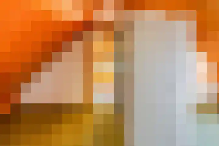 Busselterweg 29 Darp thumbnail 27