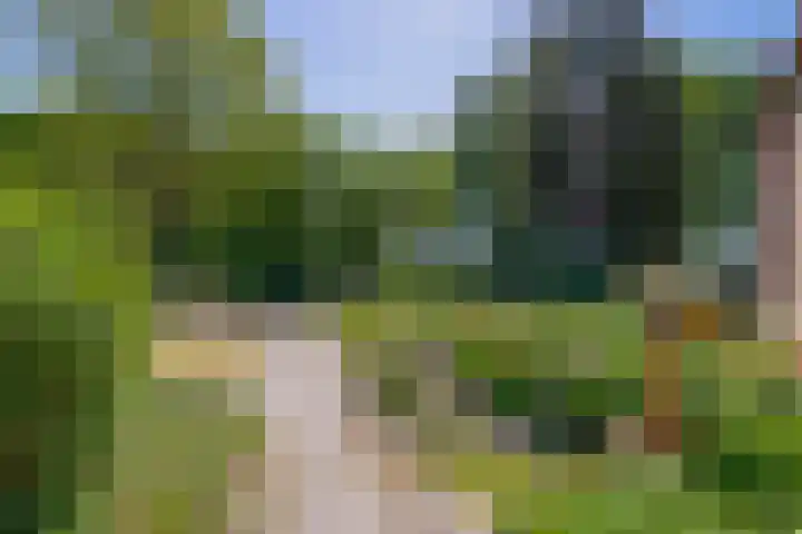 Busselterweg 29 Darp thumbnail 36