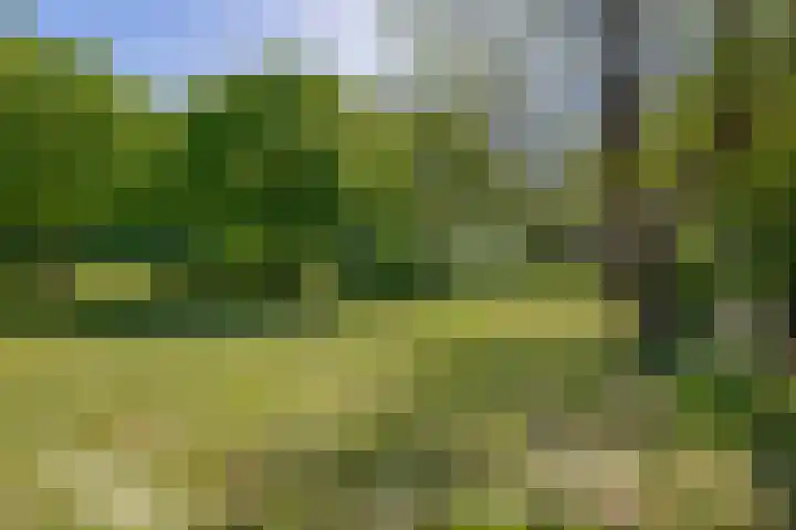 Busselterweg 29 Darp thumbnail 37