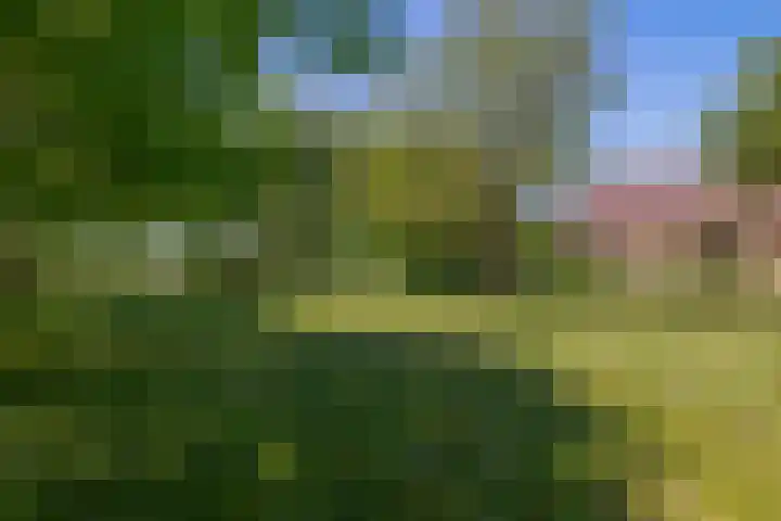 Busselterweg 29 Darp thumbnail 38