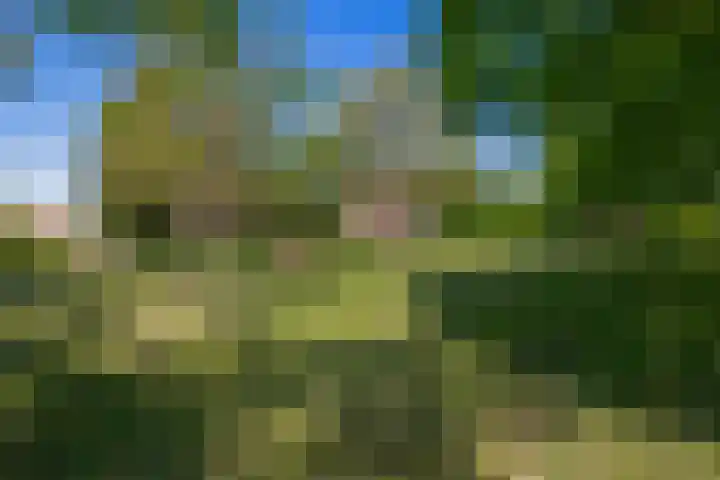 Busselterweg 29 Darp thumbnail 39