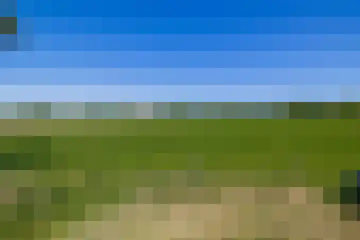 Busselterweg 29 Darp thumbnail 40
