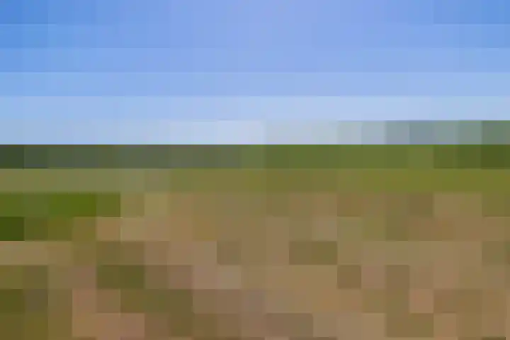 Busselterweg 29 Darp thumbnail 41