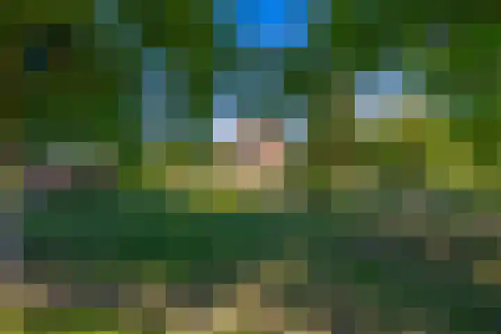 Busselterweg 29 Darp thumbnail 42