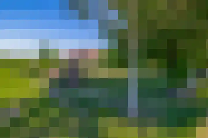 Busselterweg 29 Darp thumbnail 43