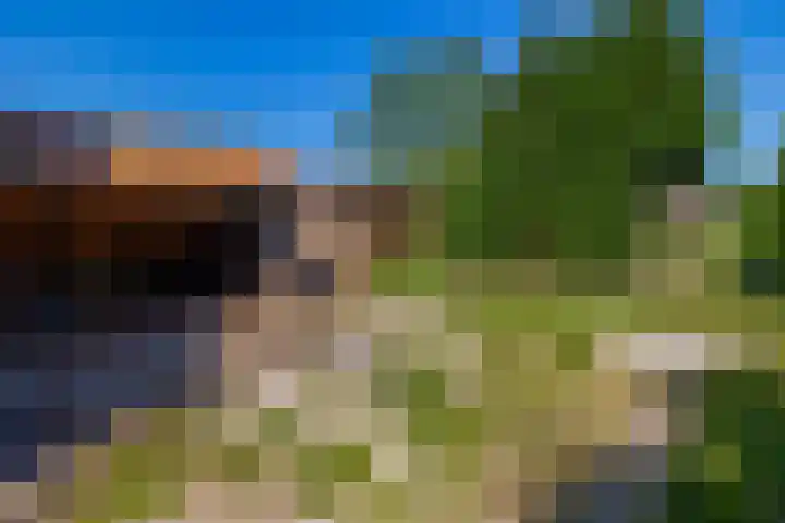 Busselterweg 29 Darp thumbnail 44