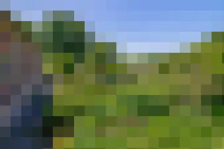 Busselterweg 29 Darp thumbnail 45