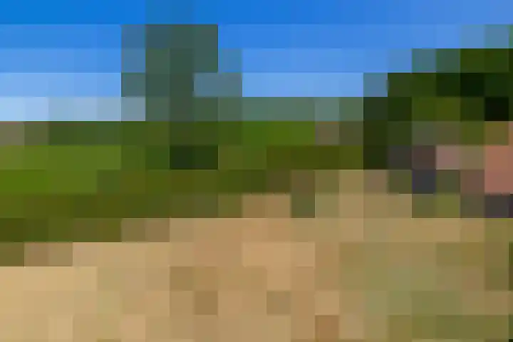 Busselterweg 29 Darp thumbnail 46