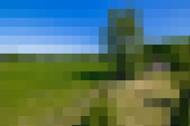 Busselterweg 29 Darp thumbnail 47