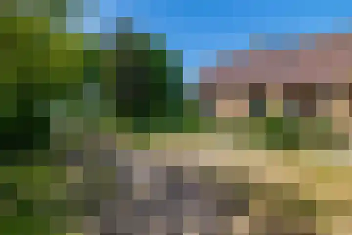 Busselterweg 29 Darp thumbnail 49