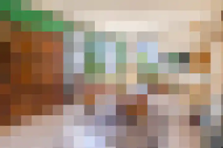 Busselterweg 29 Darp thumbnail 5