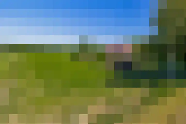 Busselterweg 29 Darp thumbnail 51