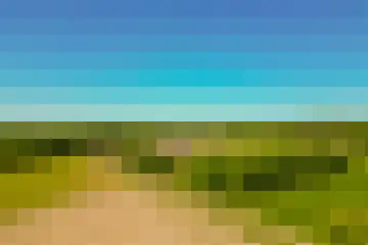 Busselterweg 29 Darp thumbnail 53