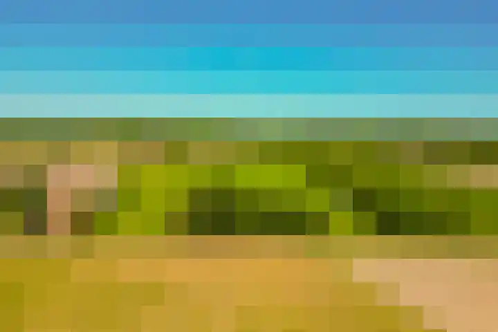 Busselterweg 29 Darp thumbnail 54