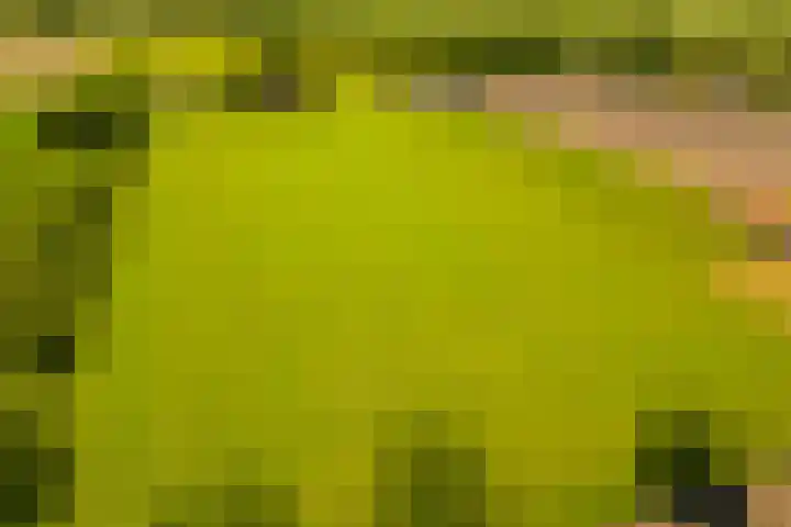 Busselterweg 29 Darp thumbnail 56