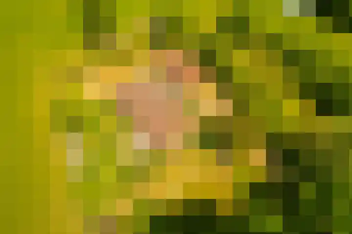 Busselterweg 29 Darp thumbnail 58
