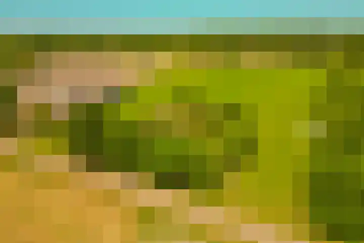 Busselterweg 29 Darp thumbnail 59