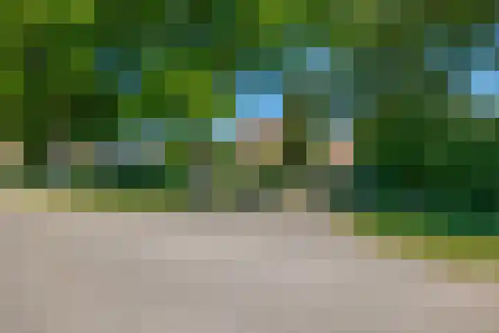 Busselterweg 29 Darp thumbnail 60