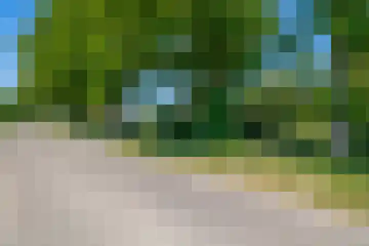 Busselterweg 29 Darp thumbnail 61