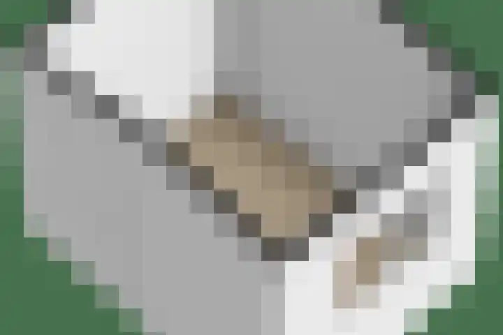 Busselterweg 29 Darp thumbnail 68