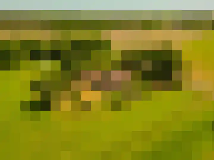 Busselterweg 29 Darp thumbnail 71