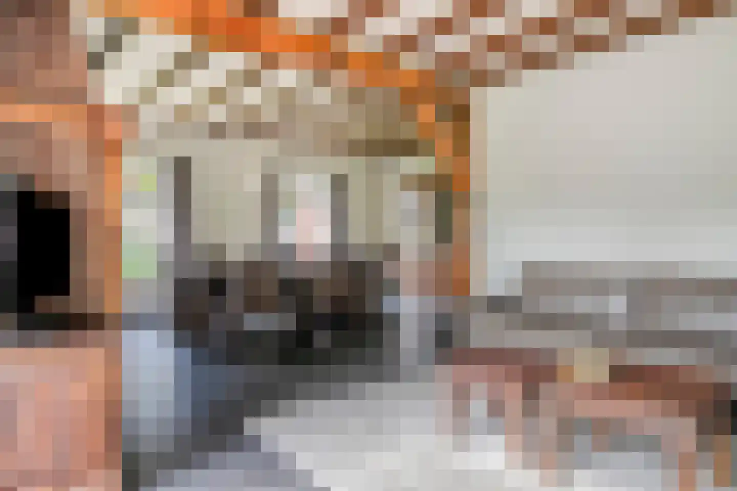 Busseltje 35 Reusel thumbnail 10