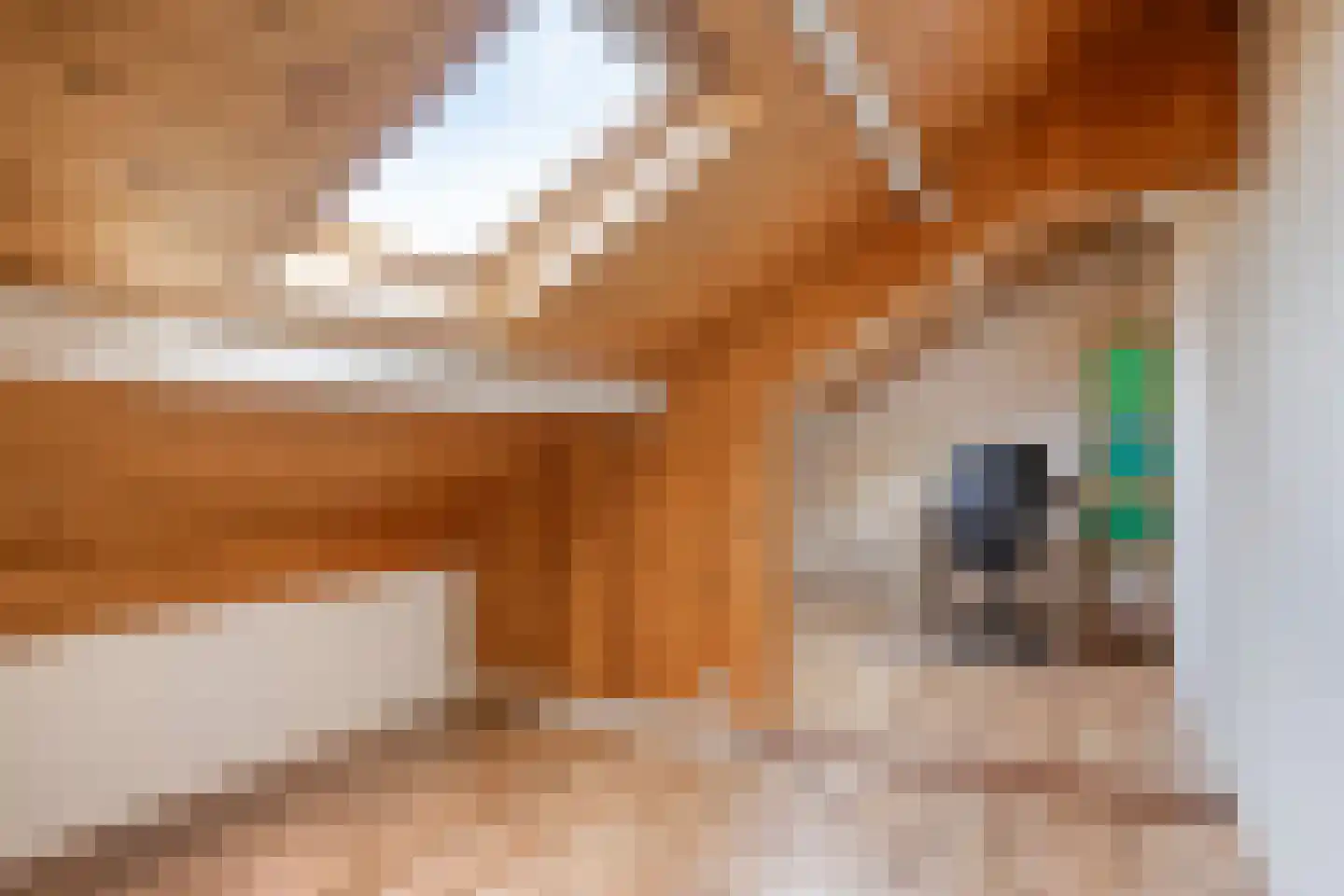 Busseltje 35 Reusel thumbnail 27