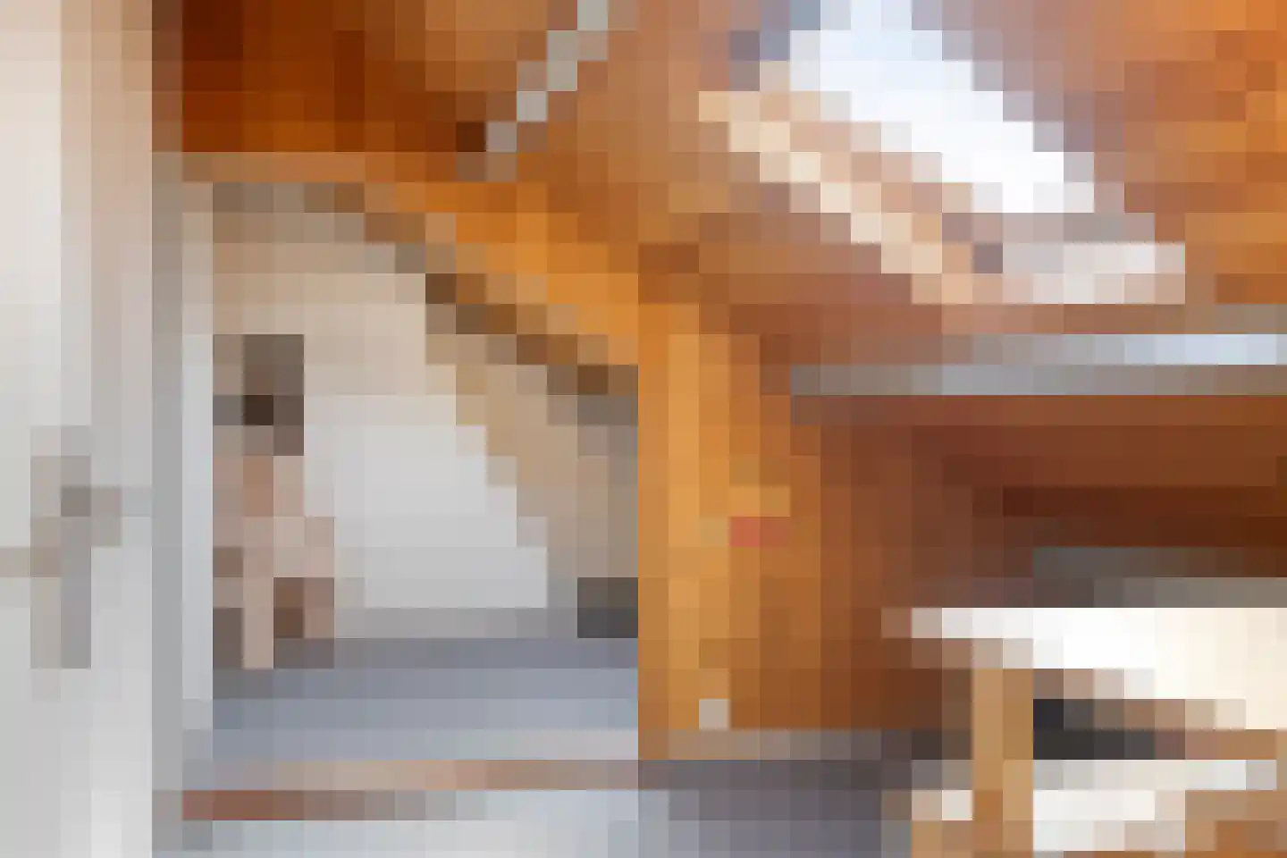 Busseltje 35 Reusel thumbnail 28